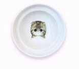 Bowl Holder for Cat Food and Water